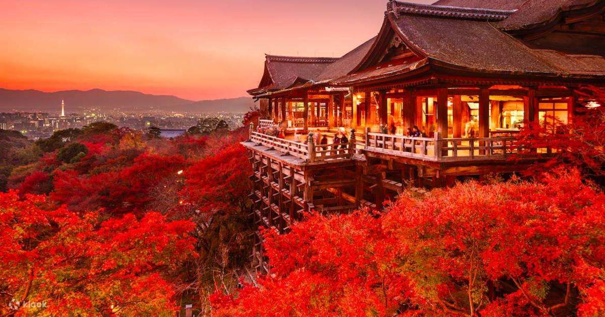 Kyoto Kiyomizu Temple & Heian Shrine & Fushimi Inari Taisha